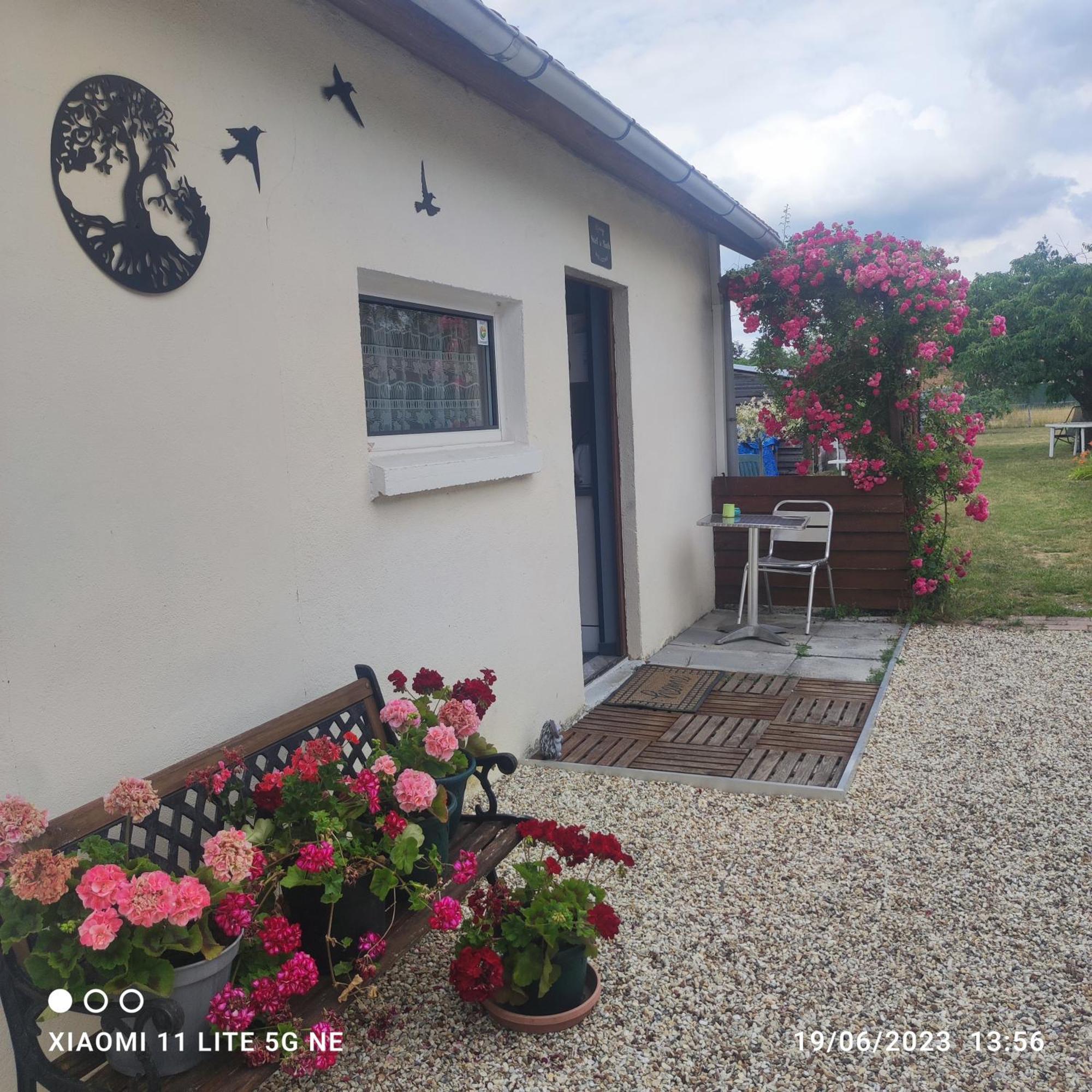 Pensjonat Tranquillite & Independance Au Coeur De La Sologne Lamotte-Beuvron Zewnętrze zdjęcie