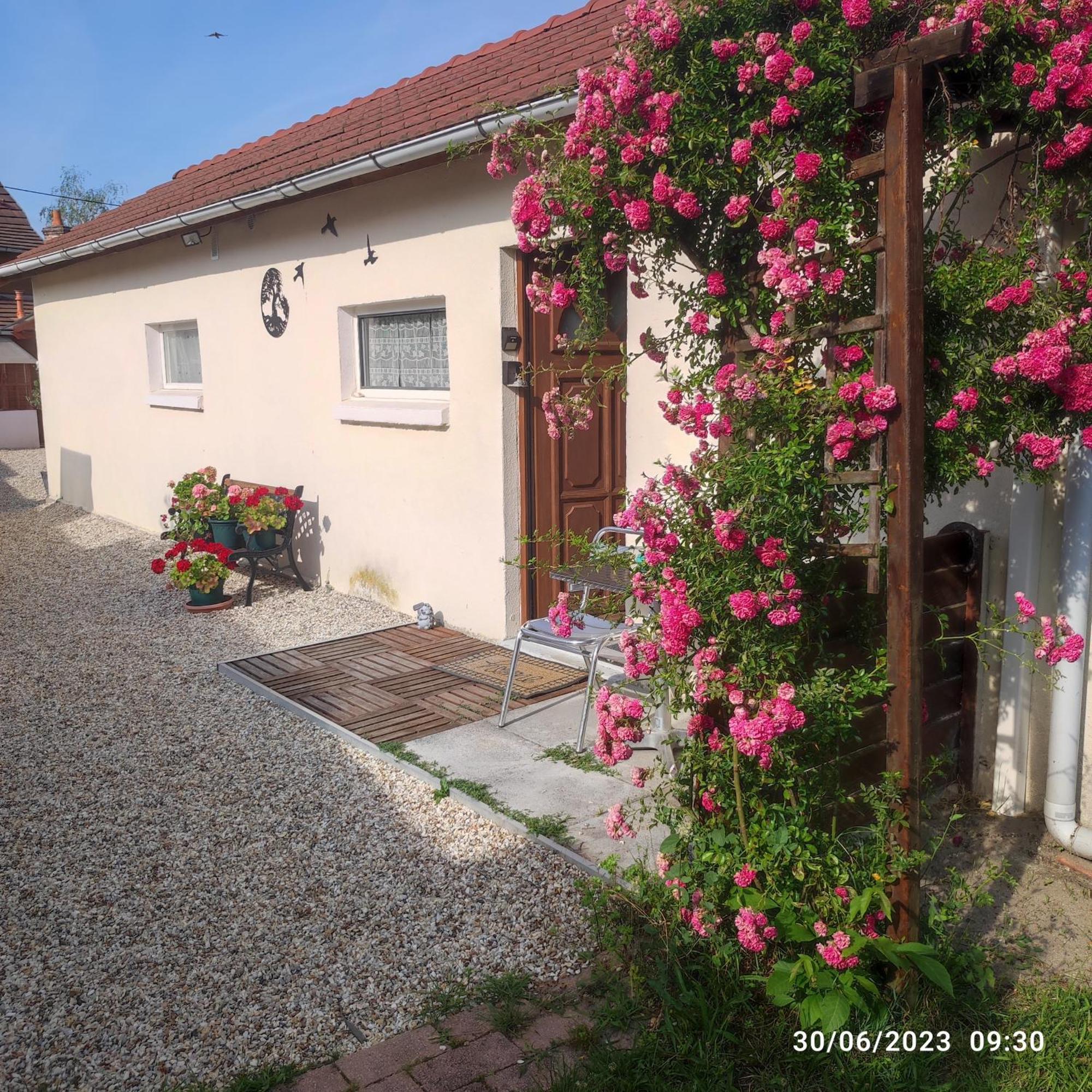 Pensjonat Tranquillite & Independance Au Coeur De La Sologne Lamotte-Beuvron Zewnętrze zdjęcie